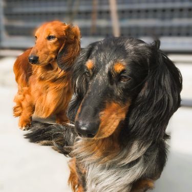 Иконка канала Ida_Sh_2025