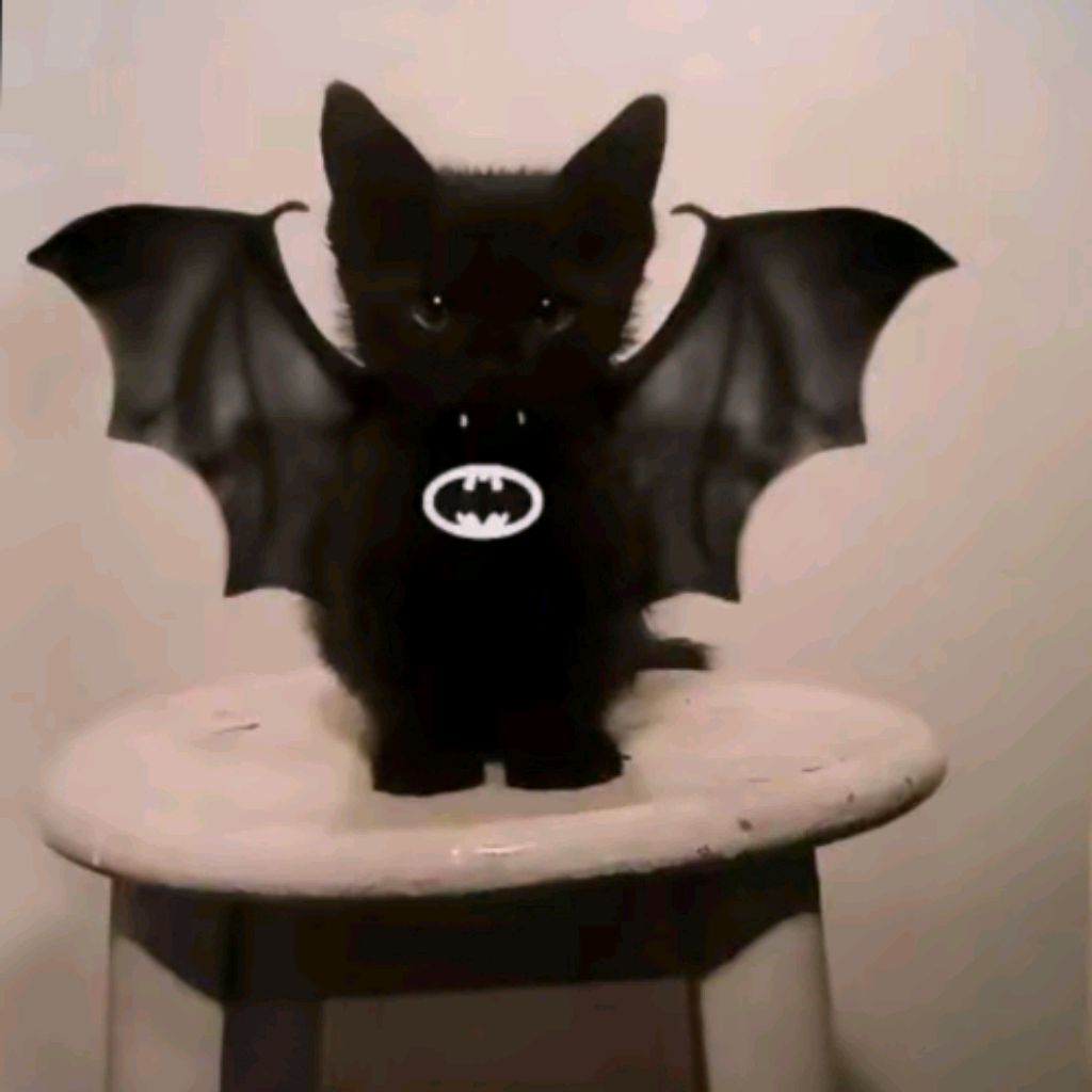 Иконка канала Братиш