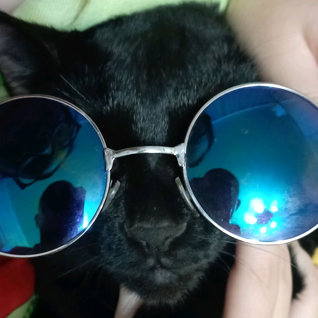 Иконка канала КонфиДей