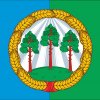 Иконка канала Мамонтовский район_официально
