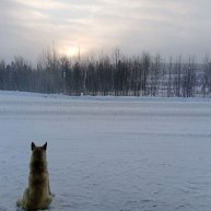 Иконка канала Музыка Моя