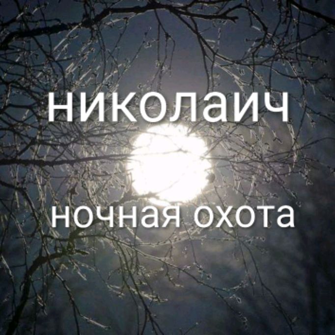 Иконка канала Николаич Ночная Охота
