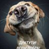 Иконка канала channel67486916