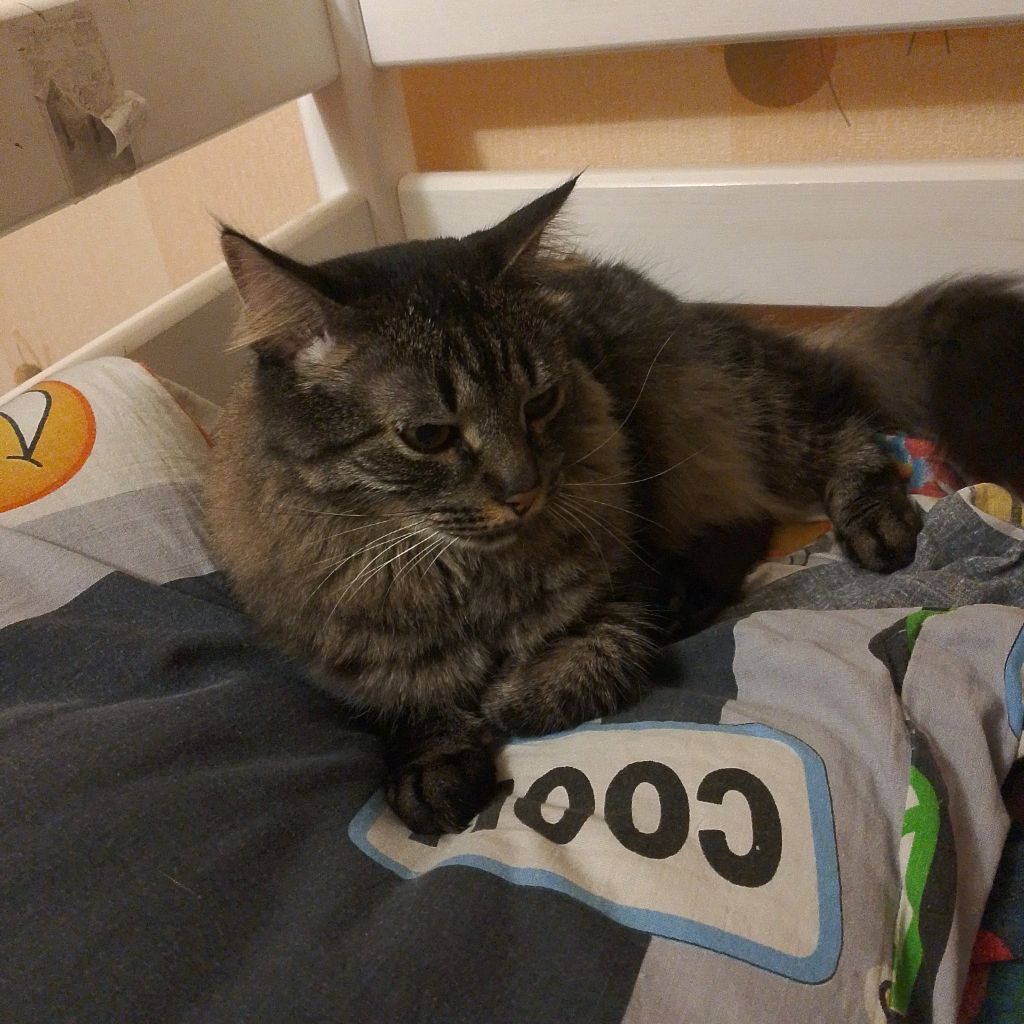 Иконка канала рукажоп который влюблён в тишу