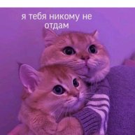 Иконка канала Beelzеbuba
