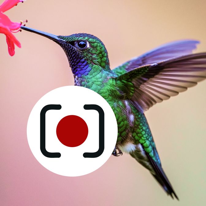 Ик онка канала TWStudio
