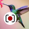 Иконка канала TWStudio