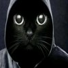 Иконка канала Сигма Чикен