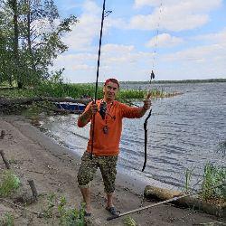 Иконка канала VladimirSafonov