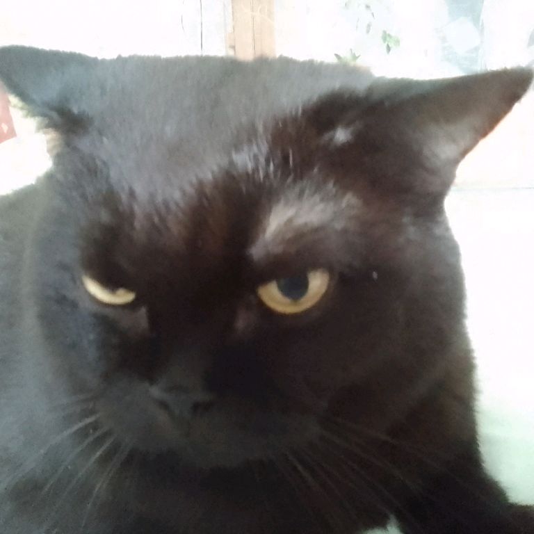 Иконка канала Ваня яндекс игры