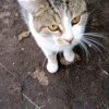 Иконка канала ИИ Блог