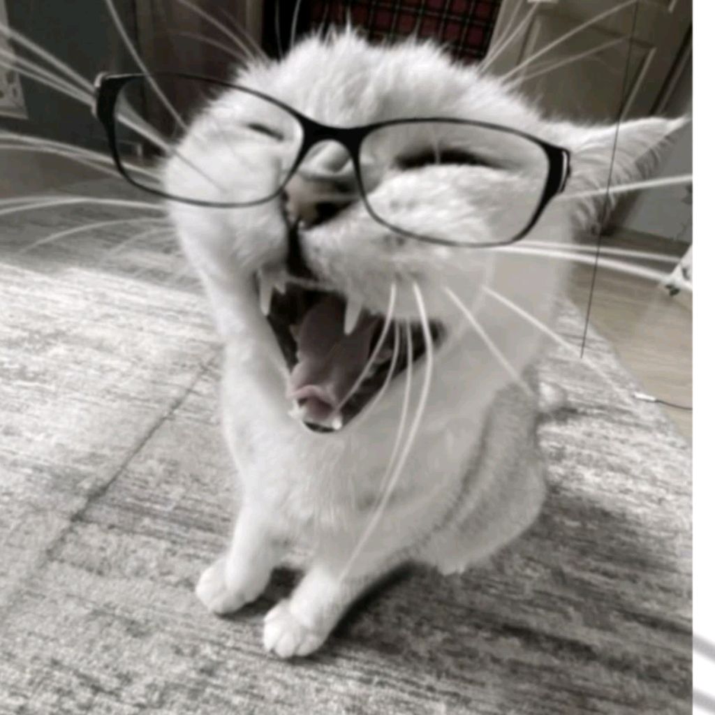 Иконка канала Женя 🇷🇺✔️