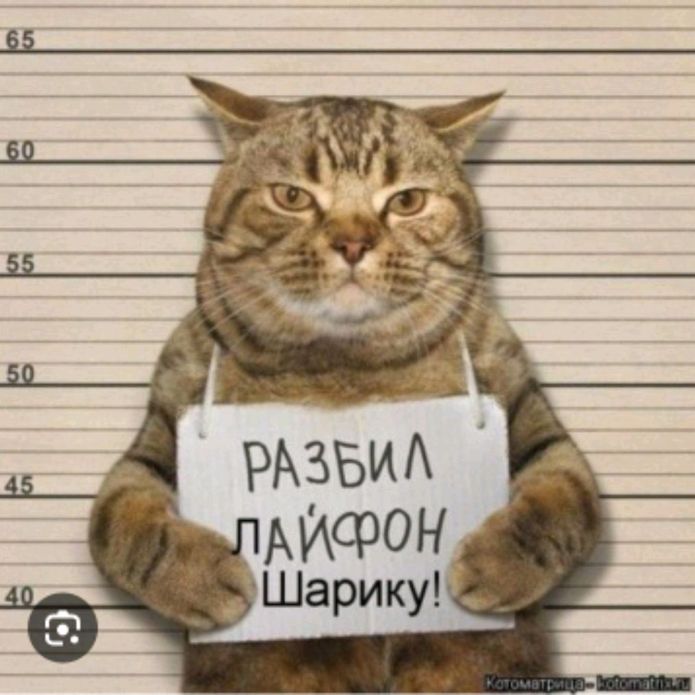 Аватар автора