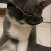 Иконка канала KOT_