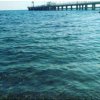 Иконка канала Загородная Жизнь Южанки