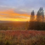 Иконка канала Михаил Цыганко