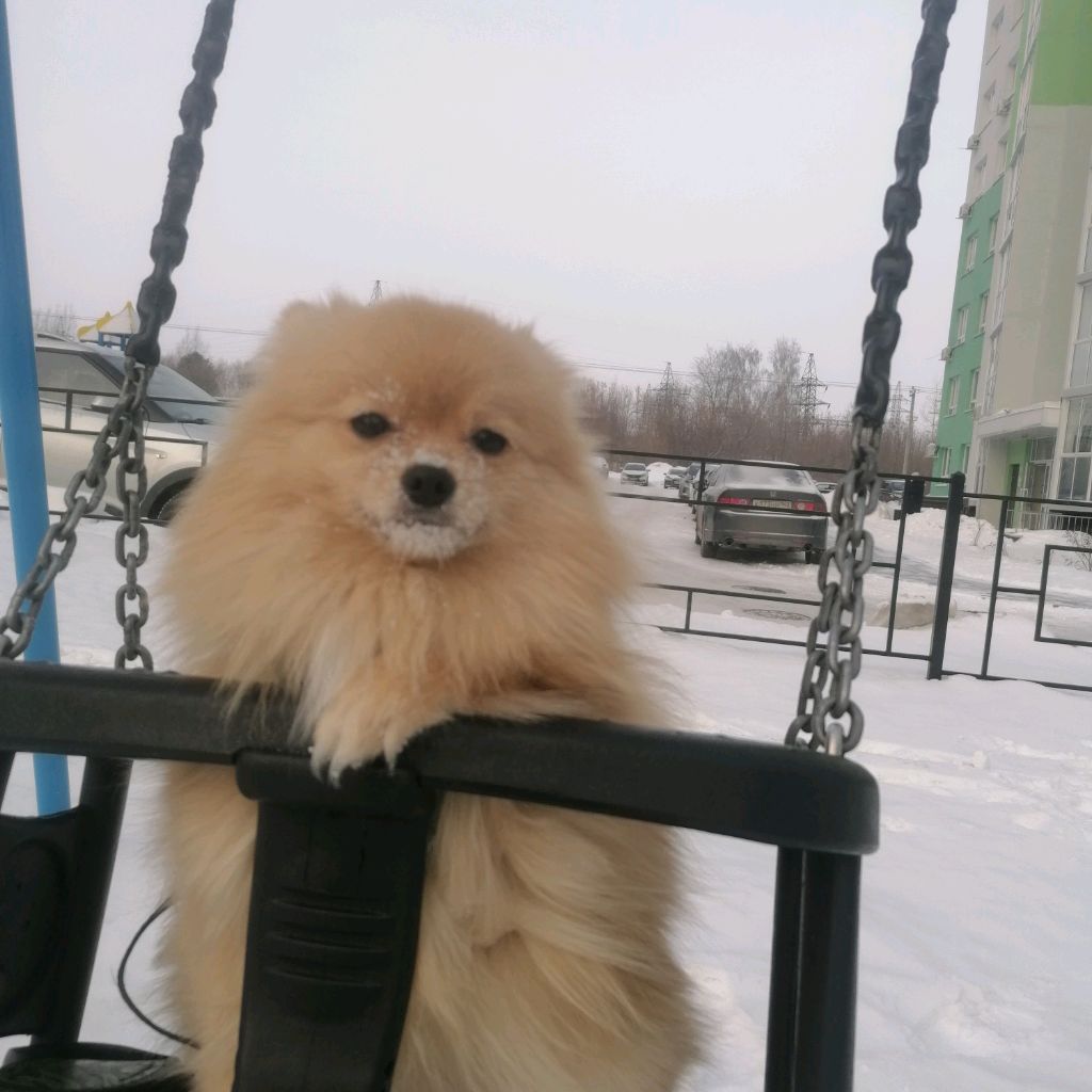 Аватар автора