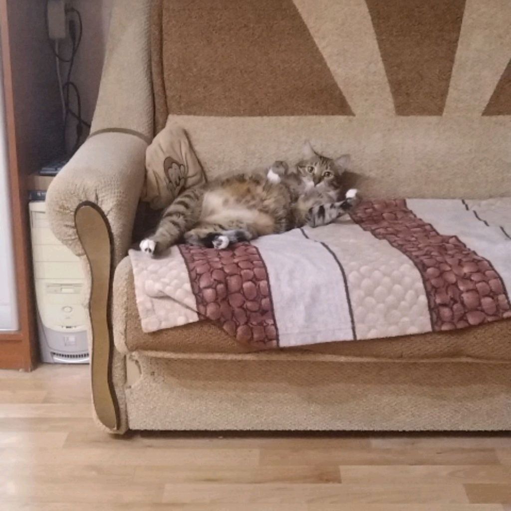 Иконка канала Амурло