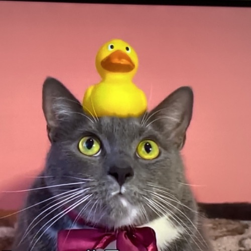 Иконка канала Кот Андрей