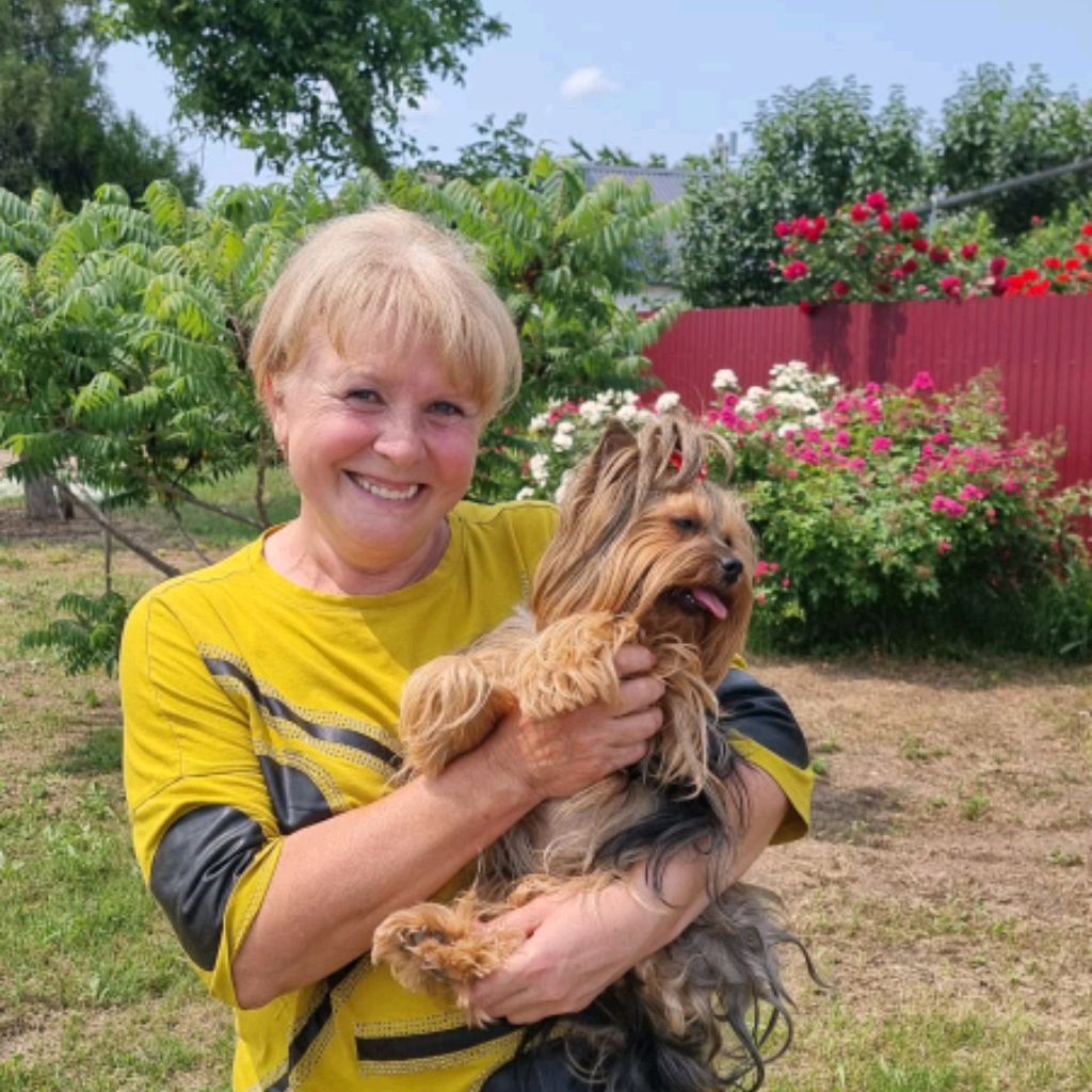 Аватар автора