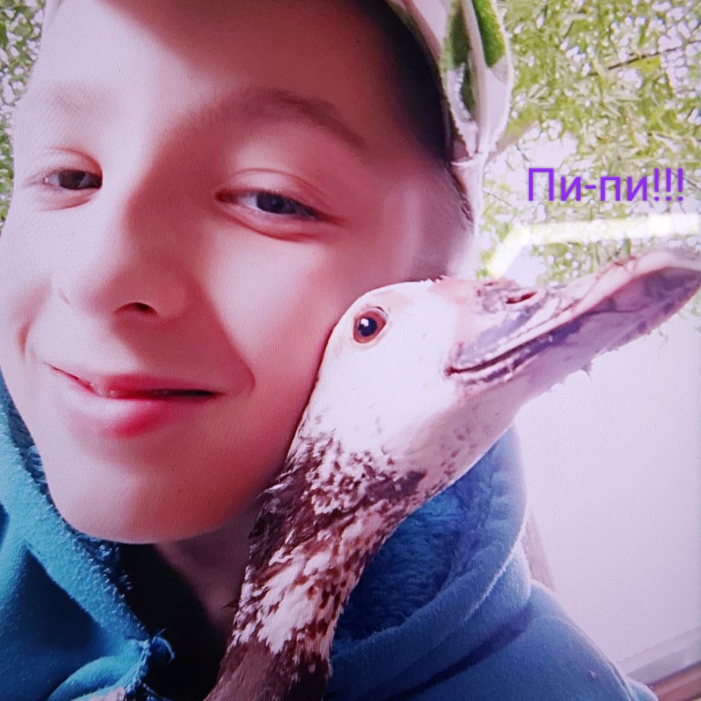 Иконка канала Семён и Сборник Видео В RUTUBE