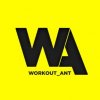 Иконка канала Workaut ANT