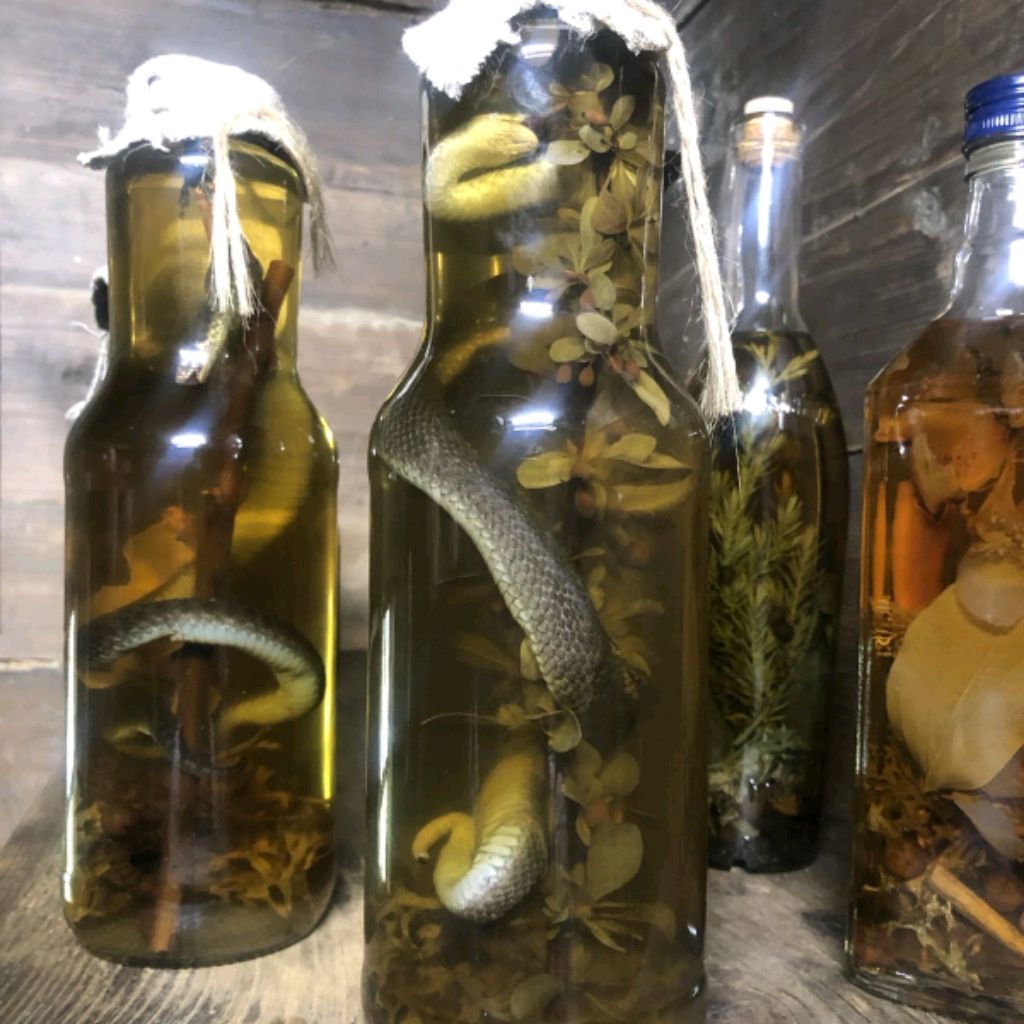 Иконка канала LifePulse12