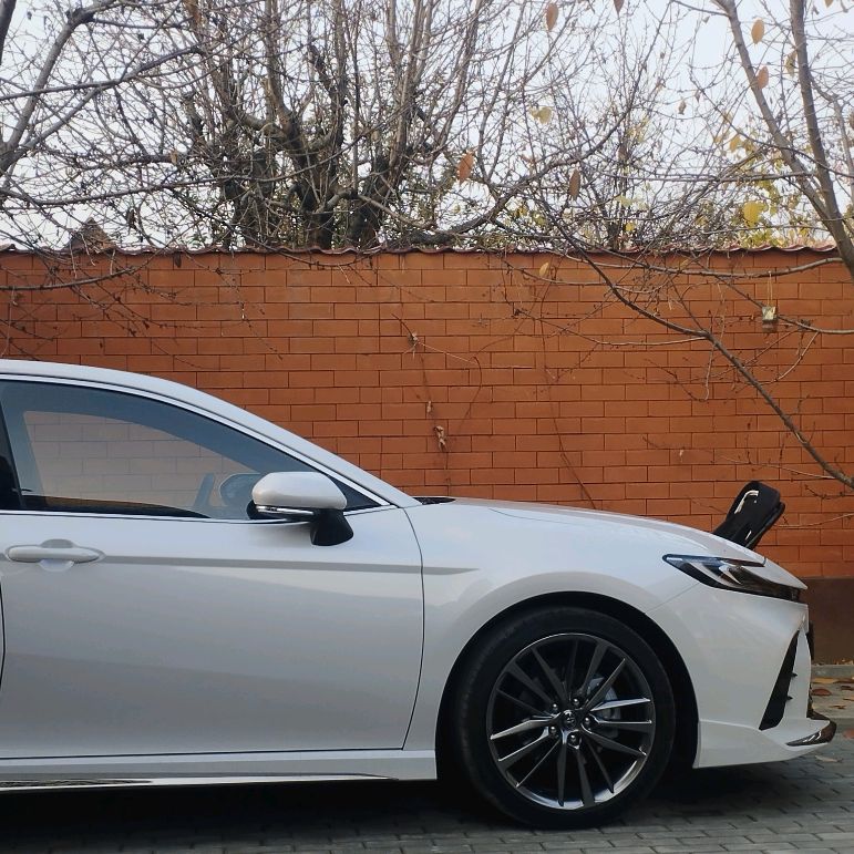 Иконка канала Братья Мальсаговы