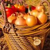Иконка канала РОТАНГОВЫЙ ПРОМЕНАД