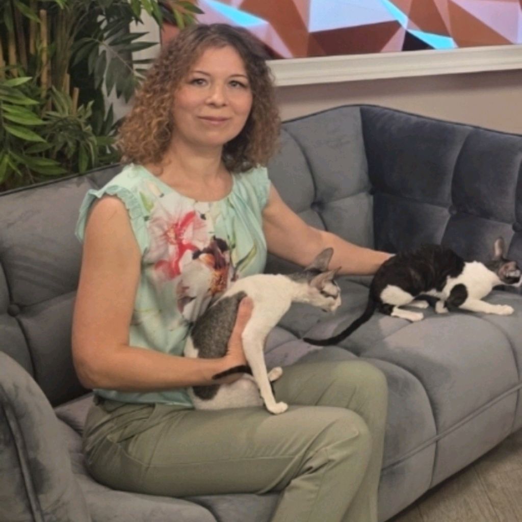 Иконка канала ElemaniDreamCattery