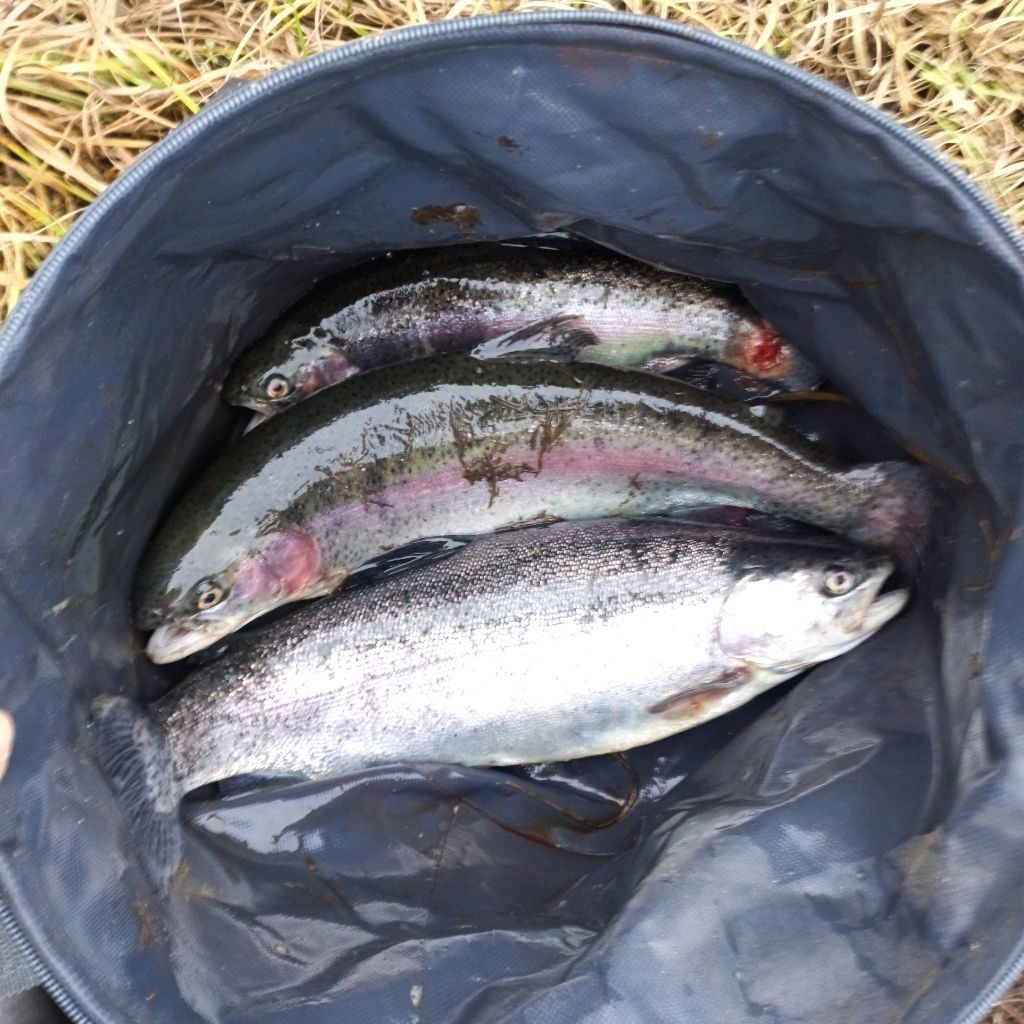 Иконка канала Рыбалка С Нуля