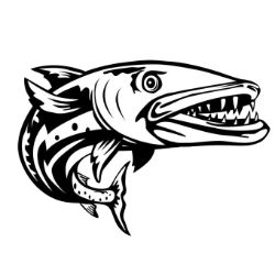Иконка канала Barracuda's