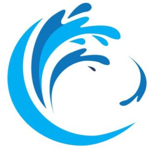 Иконка канала vesti-surfing.ru