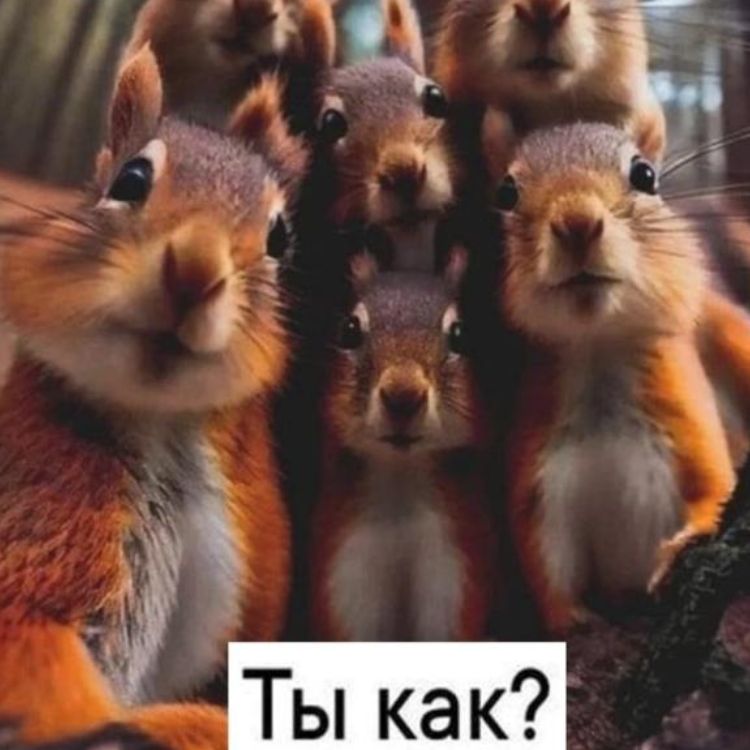 Иконка канала rutube_account_19266106