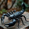 Иконка канала Дворник брюзжащий