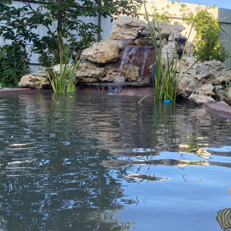 Иконка канала Pro-Пруд