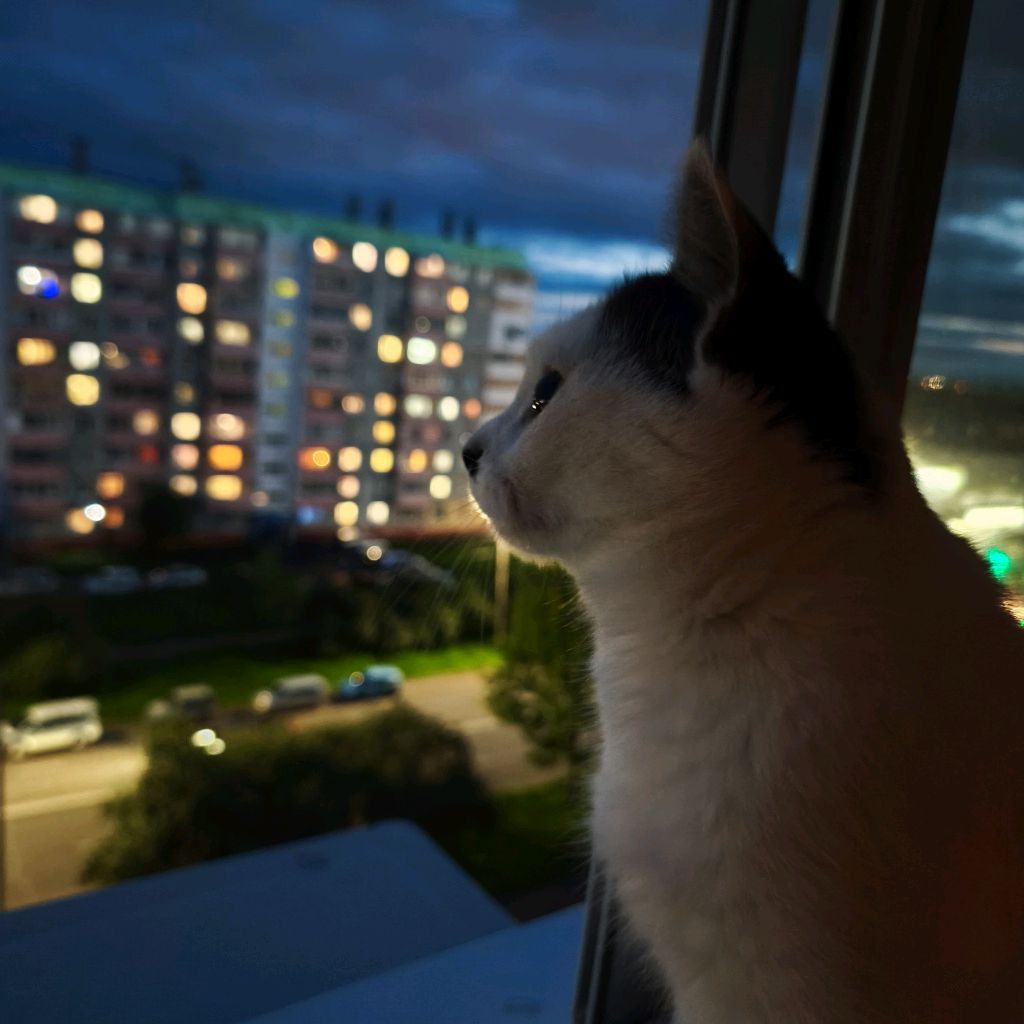 Аватар автора