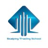 Иконка канала Scalping Trading School