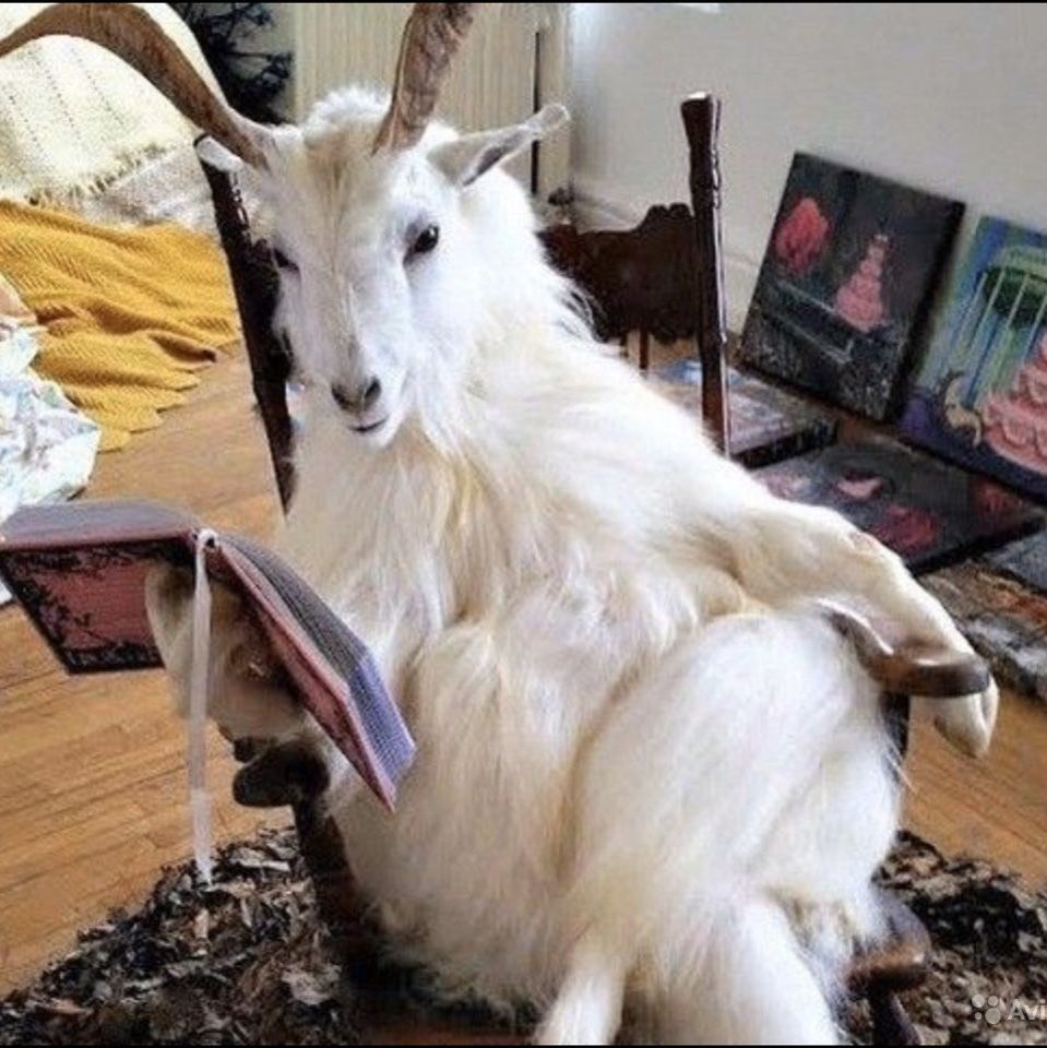 Аватар автора