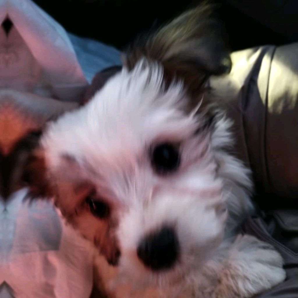 Иконка канала Артур 227