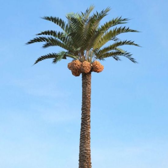 Иконка канала Palmochka