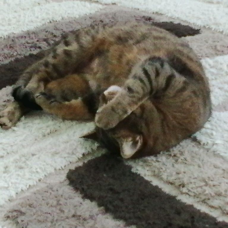 Иконка канала Короче Я Даня