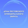 Иконка канала Дума Пестовского муниципального округа