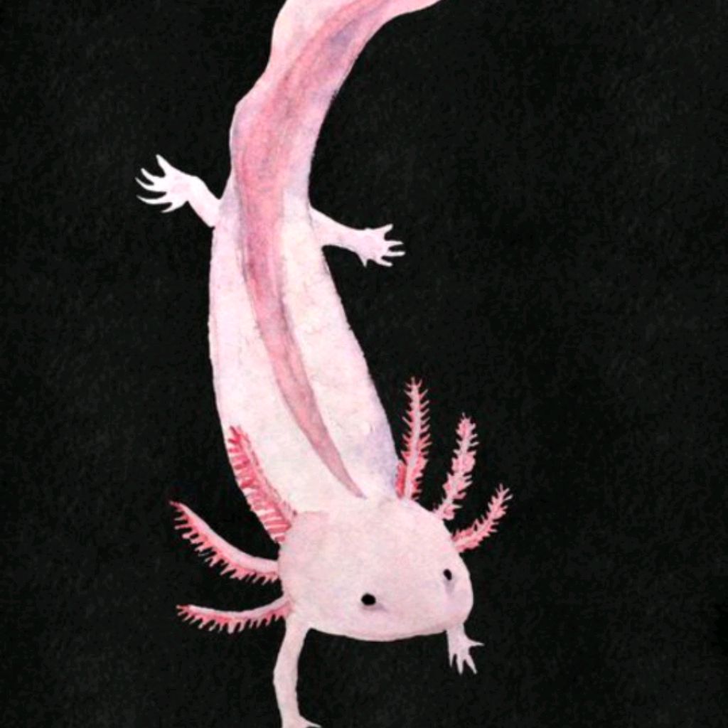 Иконка канала Aksel_drakon