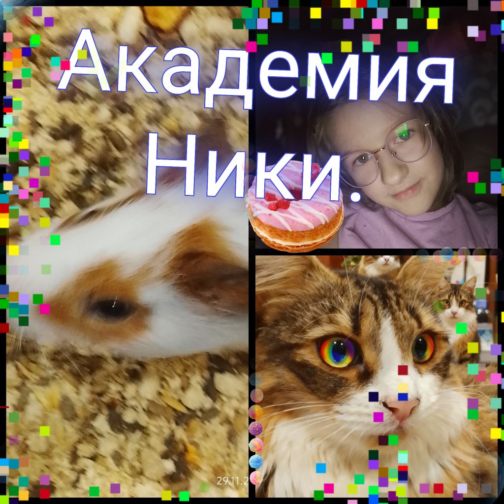 Иконка канала Академия Ники