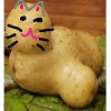 Иконка канала Бобрик