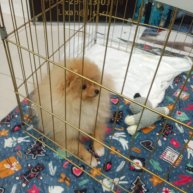 Иконка канала Дженна 123