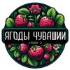 Иконка канала Ягоды Чувашии 🍓