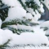 Иконка канала Стас Чикунов