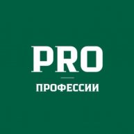 Иконка канала Pro Професии | Дело жизни